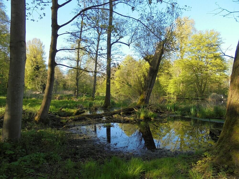 amsterdamse bos noord holland losloopgebied welkoop